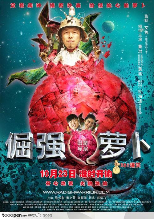 仿制假假爱尔兰护照模板